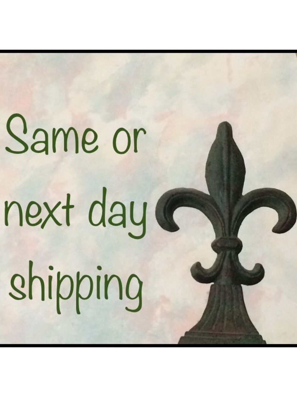 ⭐️FAST SHIPPER!!⭐️